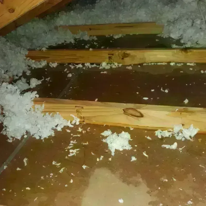 Attic Water Damage in Henry County, MO