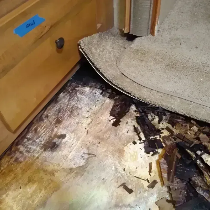 Wood Floor Water Damage in Henry County, MO